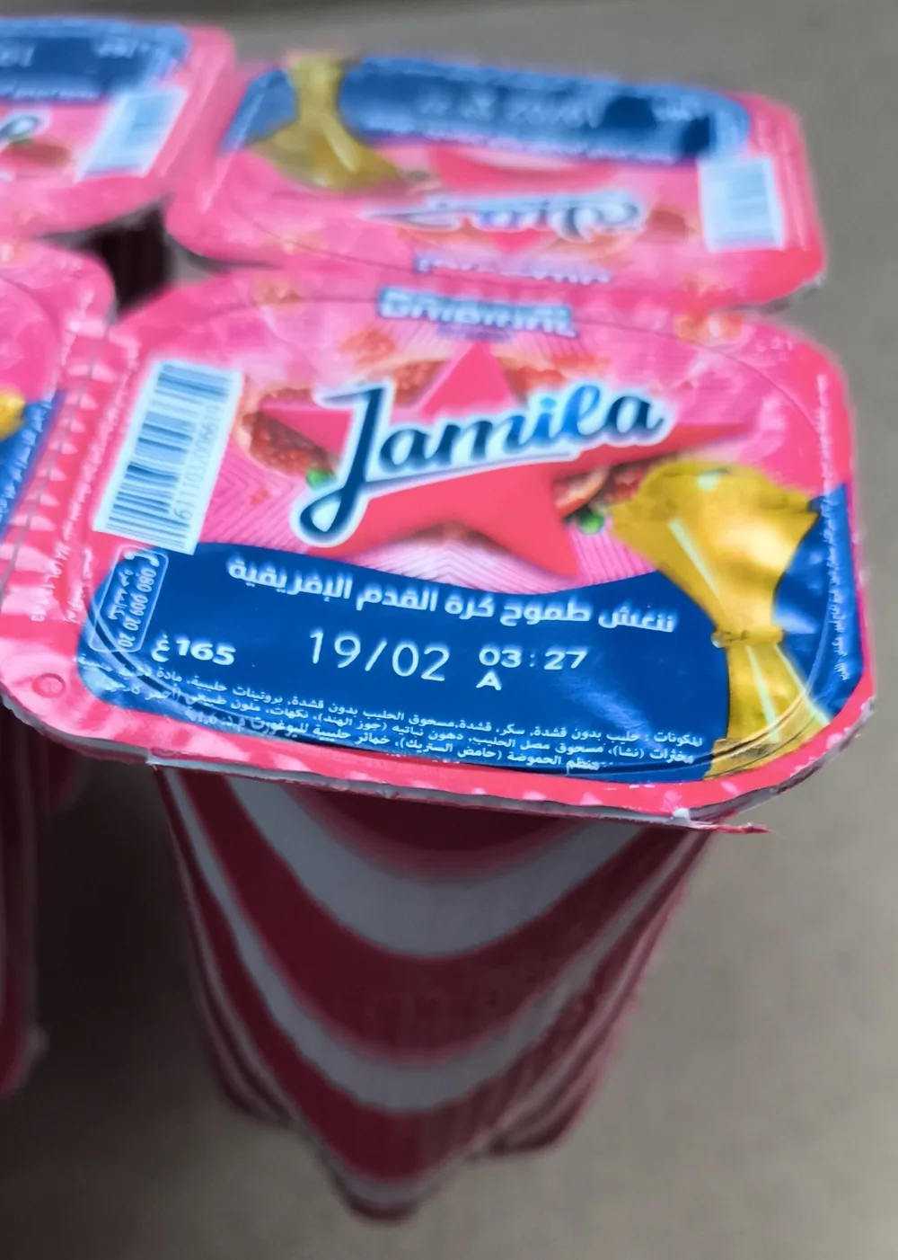 Jamila رايبي