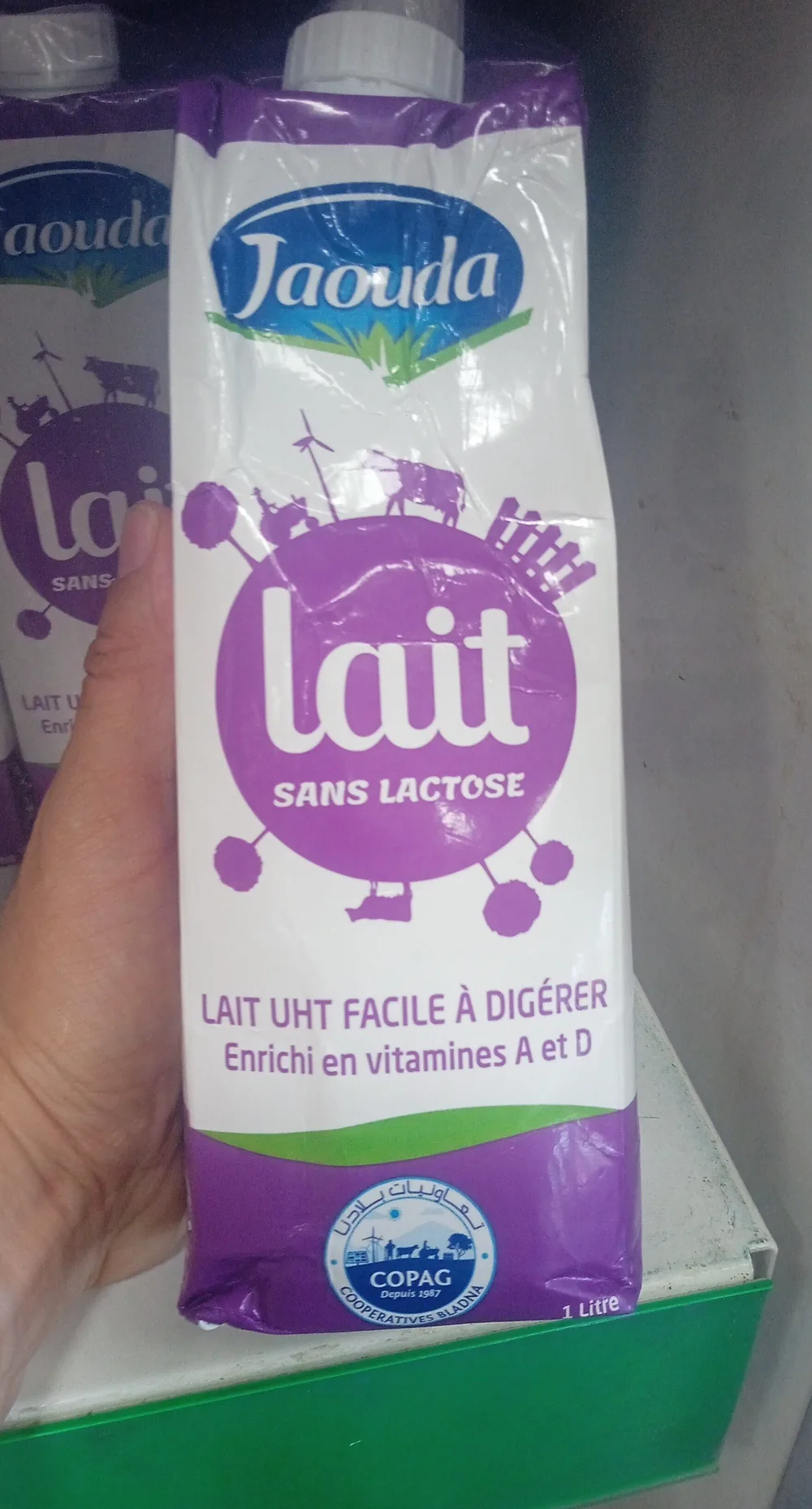 Lait sans lactose